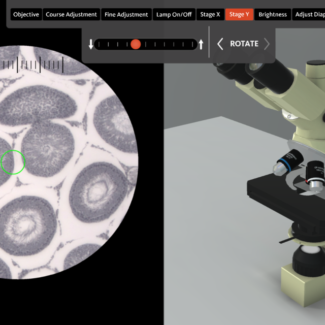 Virtual 3D Microscope Lab for Students Offered by OSU Virtually