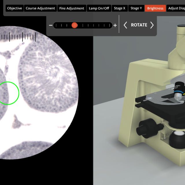 Virtual 3D Microscope Lab for Students Offered by OSU Virtually
