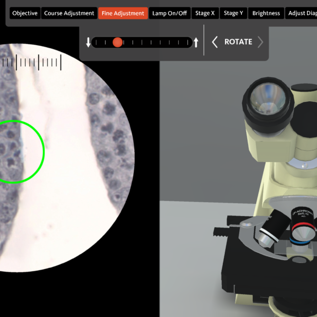 Virtual 3D Microscope Lab for Students Offered by OSU Virtually