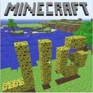 minecraft for serious games