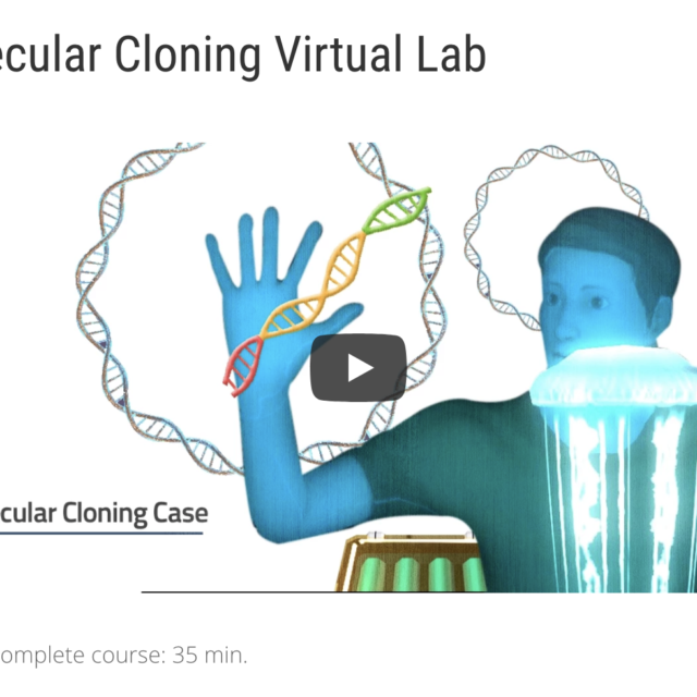 Online Virtual Science & Engineering Labs Virtually Inspired